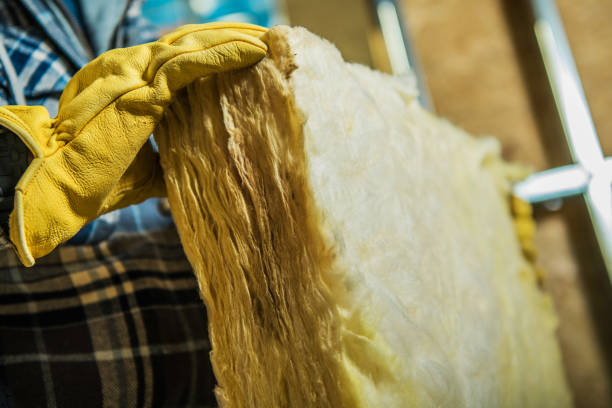 Best Insulation Installation Services in Independence, LA